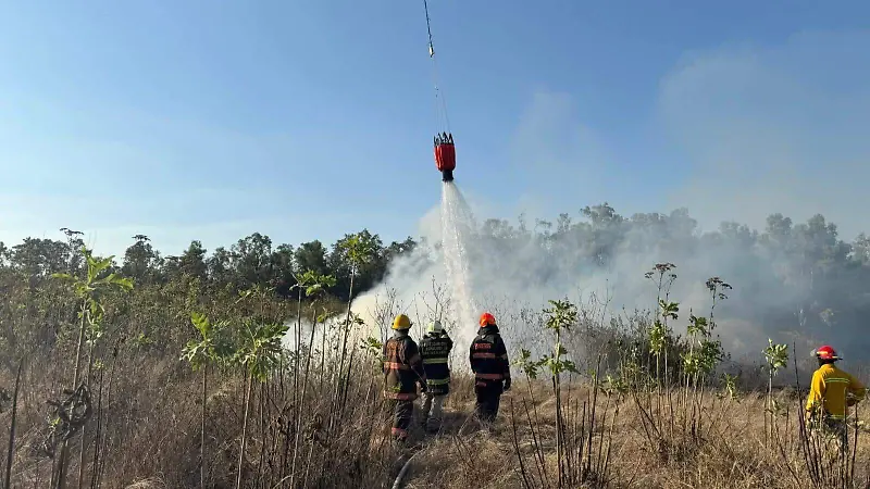 incendio colomos 